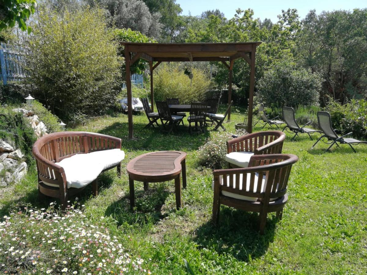 Bastide Provencale Les Muriers D'Engaspaty Seillans Exteriör bild