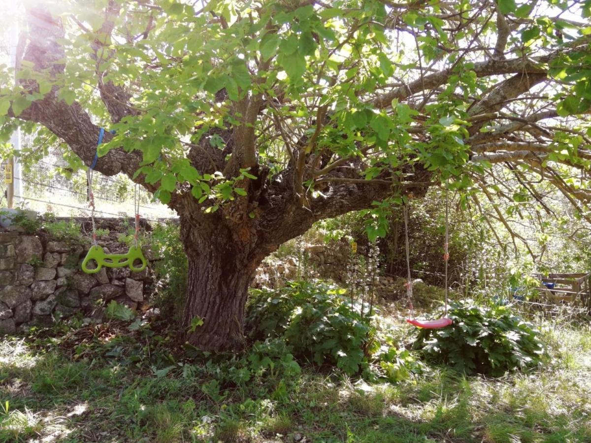 Bastide Provencale Les Muriers D'Engaspaty Seillans Exteriör bild